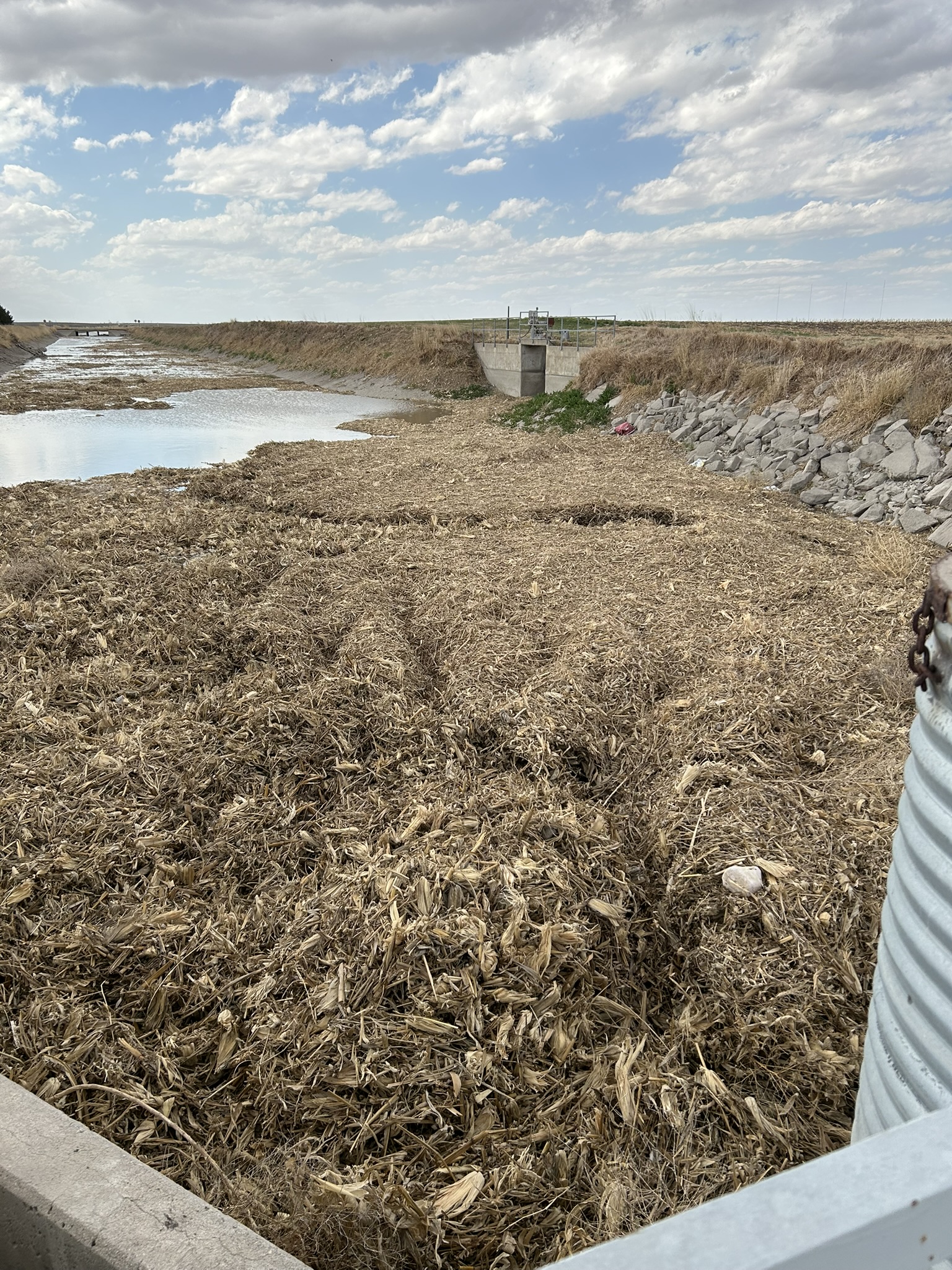 debris in canal