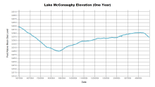 McConaughyOneYear.png