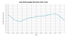 McConaughyOneYear.png