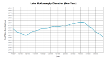 McConaughyOneYear.png