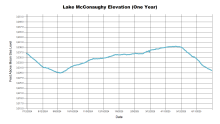 McConaughyOneYear.png