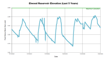 Elwood5Years.png