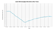 McConaughyOneYear.png