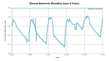 Elwood5Years.png