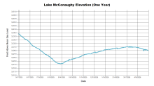 McConaughyOneYear.png