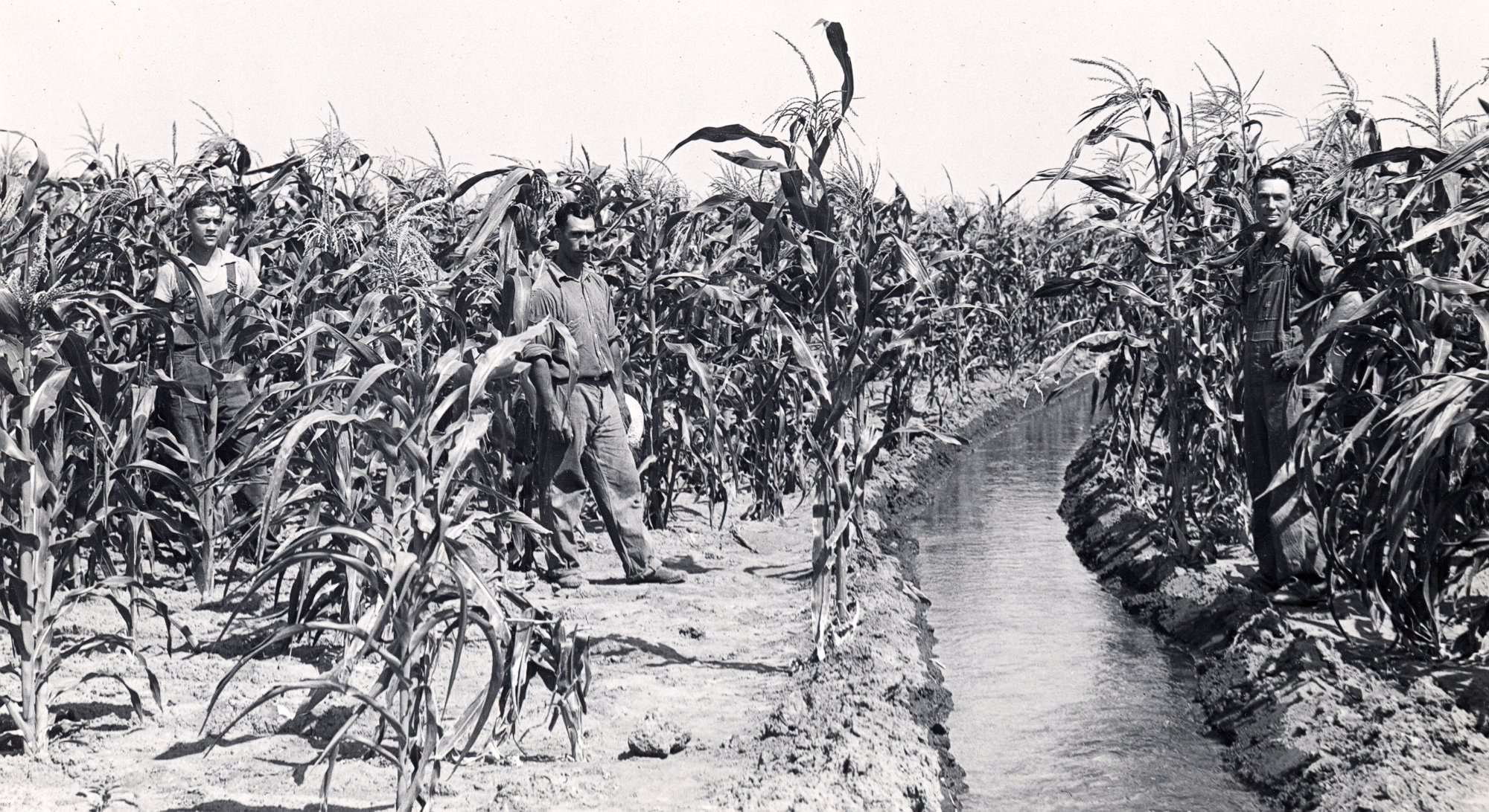 Central marks 75th anniversary of irrigation deliveries from Lake McConaughy