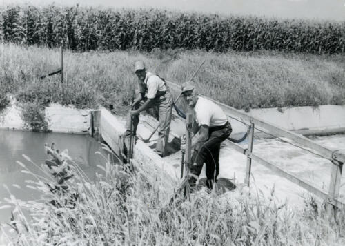 irrigation employees adjusting gates