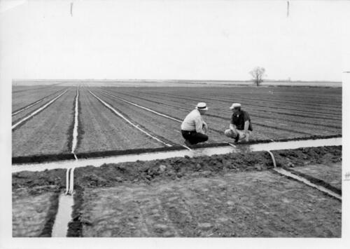 making irrigation adjustments